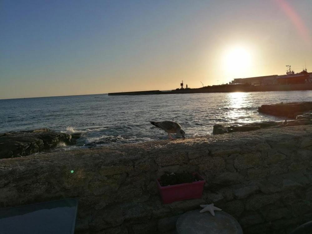 La Rose Des Sables Otel Tréffiagat Dış mekan fotoğraf